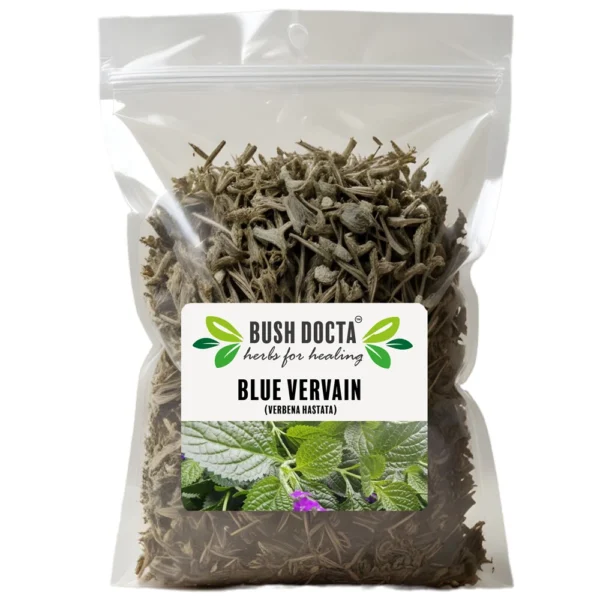 Blue Vervain