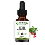 Uva Ursi Extract