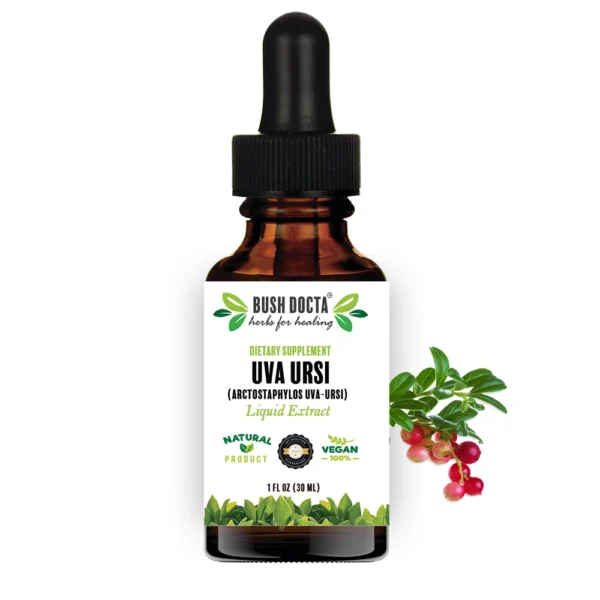 Uva Ursi Extract
