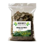 King of The Forest | Cassia Alata
