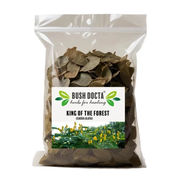 King of The Forest | Cassia Alata