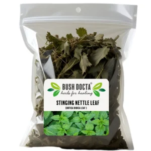 Stinging Nettle Leaf