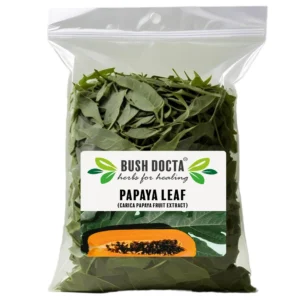 Papaya Leaf