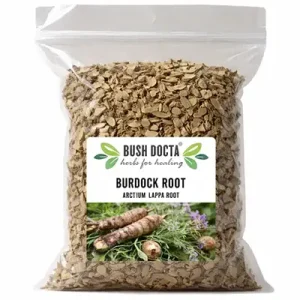 Burdock Root