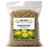 Dandelion Root