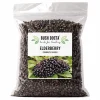 Elderberry