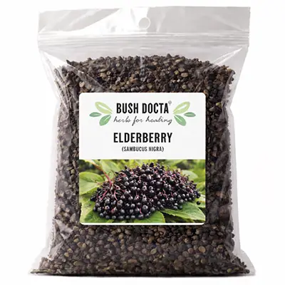 Elderberry